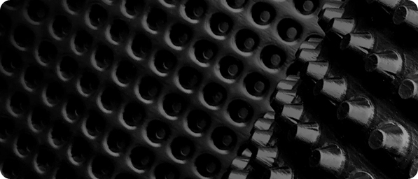 멤브레인 이미지